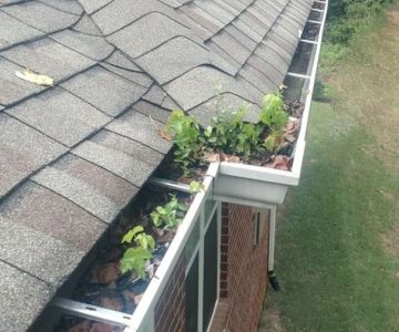 How to Prevent Water Damage From Clogged Gutters: Tips and Solutions