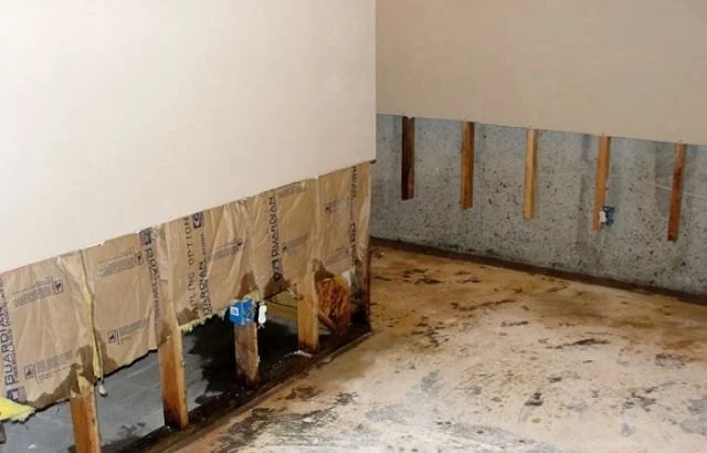 How to Repair Water-Damaged Wall Panels: A Step-by-Step Guide