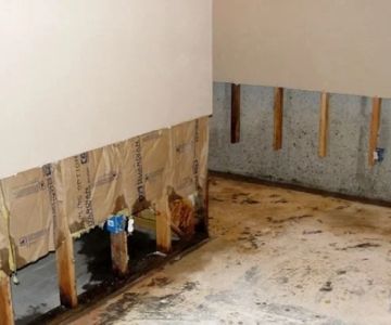 How to Repair Water-Damaged Wall Panels: A Step-by-Step Guide