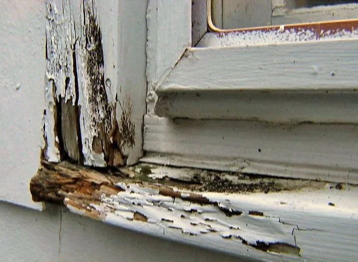Water Damage Repair for Wooden Doors and Frames