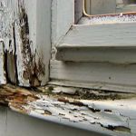 Water Damage Repair for Wooden Doors and Frames