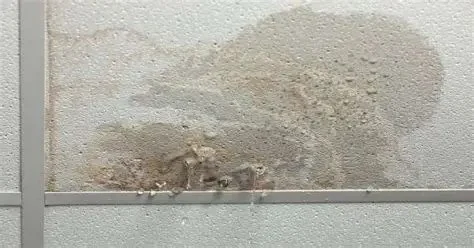 How to Repair Water-Damaged Ceilings: Step-by-Step Guide