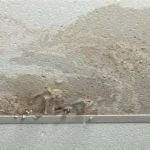 How to Repair Water-Damaged Ceilings: Step-by-Step Guide