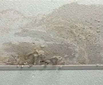 How to Repair Water-Damaged Ceilings: Step-by-Step Guide