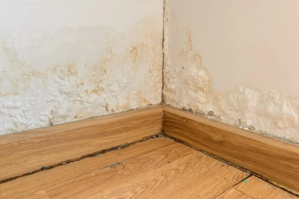 Water Damage Repair for Baseboards and Trim