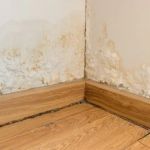 Water Damage Repair for Baseboards and Trim