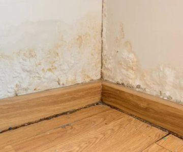 Water Damage Repair for Baseboards and Trim