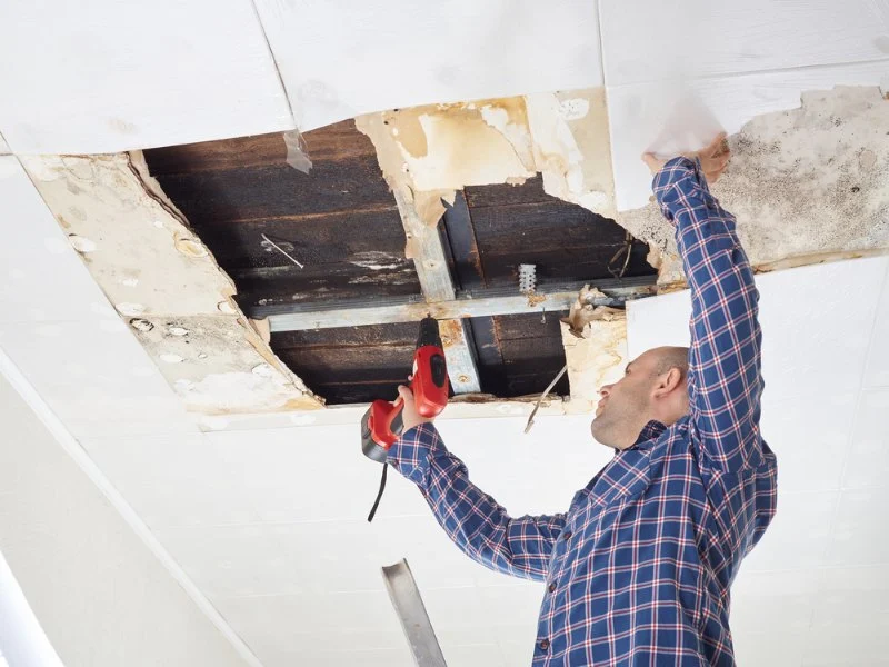 Water Damage Repair for Office Ceilings: Essential Steps for Restoration
