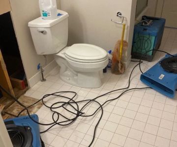 How to Handle Water Damage From Broken Toilets | Reliable Damage Hub