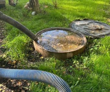 How to Handle Water Damage From Sewer Backups – Expert Cleanup and Prevention Tips