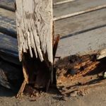 Water Damage Repair for Outdoor Wooden Structures: A Complete Guide