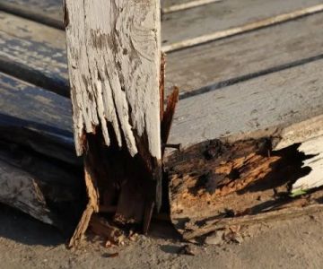 Water Damage Repair for Outdoor Wooden Structures: A Complete Guide