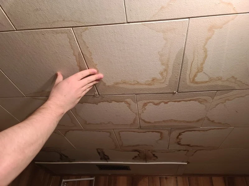 Water Damage Repair for Ceiling Tiles | How to Fix Water-Damaged Ceiling Tiles