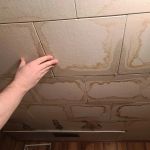 Water Damage Repair for Ceiling Tiles | How to Fix Water-Damaged Ceiling Tiles