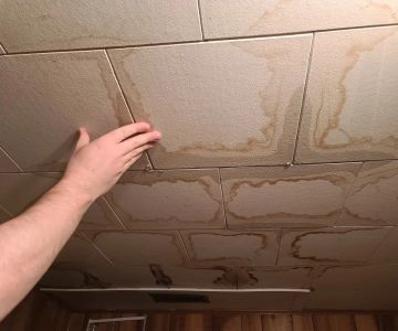 Water Damage Repair for Ceiling Tiles | How to Fix Water-Damaged Ceiling Tiles