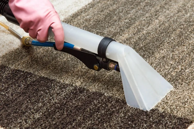 How to Dry Out Water-Damaged Carpets Effectively | Step-by-Step Guide