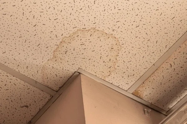 Water Damage Repair for Ceiling Tiles: How to Fix and Restore