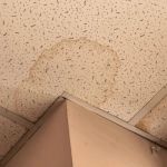 Water Damage Repair for Ceiling Tiles: How to Fix and Restore
