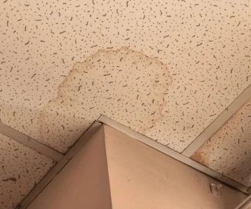 Water Damage Repair for Ceiling Tiles: How to Fix and Restore