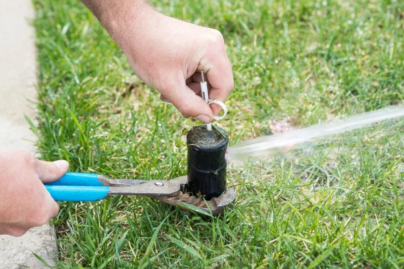 How to Prevent Water Damage From Broken Sprinklers – Expert Tips and Solutions