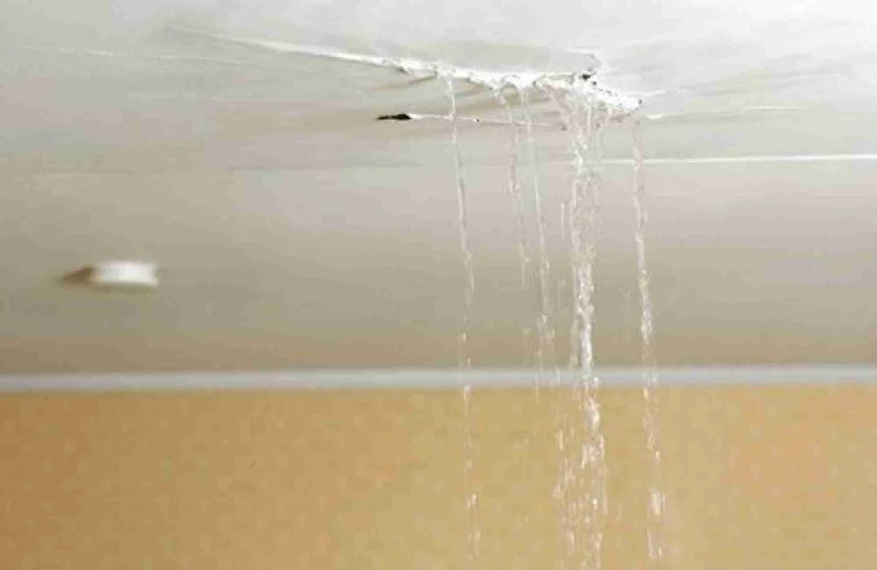 Water Damage Repair for Basement Ceilings: Expert Tips and Solutions