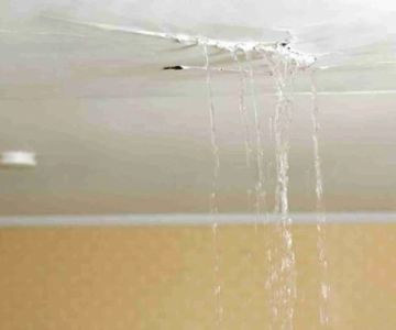 Water Damage Repair for Basement Ceilings: Expert Tips and Solutions