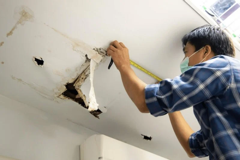 DIY Water Damage Repair: A Guide to When to Do It Yourself vs. Calling Pros