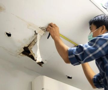 DIY Water Damage Repair: A Guide to When to Do It Yourself vs. Calling Pros