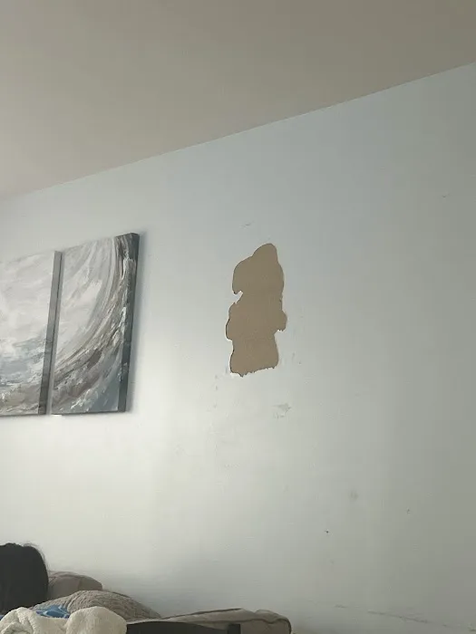 Skyline Property Picture 6