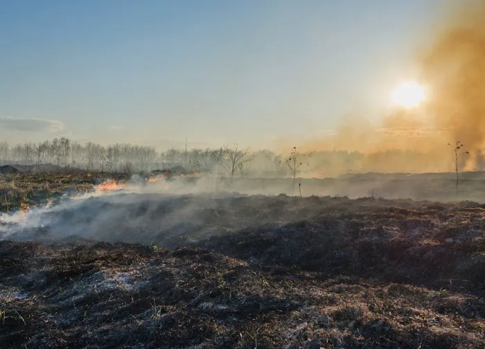 Sears Park Smoke Damage Experts Picture 9