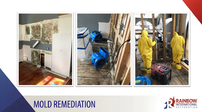 Rainbow Restoration Picture 4