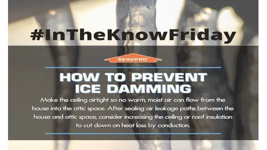 SERVPRO of South Holland/Dolton/Riverdale Picture 1