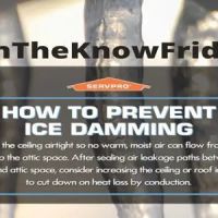 SERVPRO of South Holland/Dolton/Riverdale ico