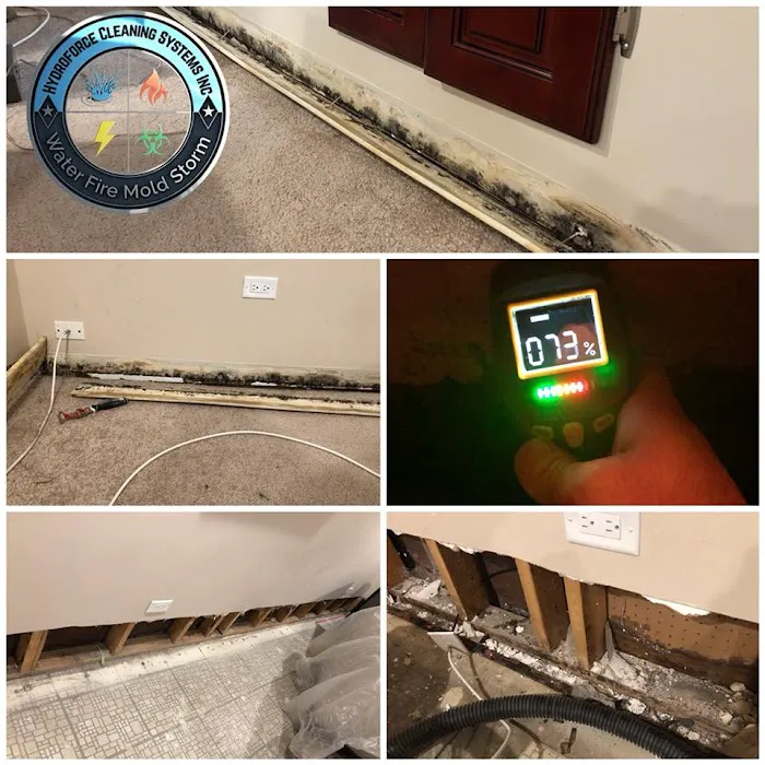 HydroForce Cleaning & Restoration Picture 1