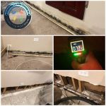 HydroForce Cleaning & Restoration