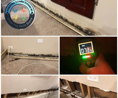 HydroForce Cleaning & Restoration