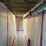 Bluestone Environmental