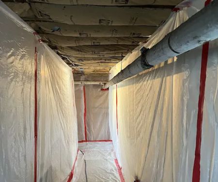 Bluestone Environmental