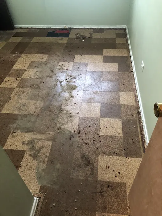 Bluestone Environmental Picture 5