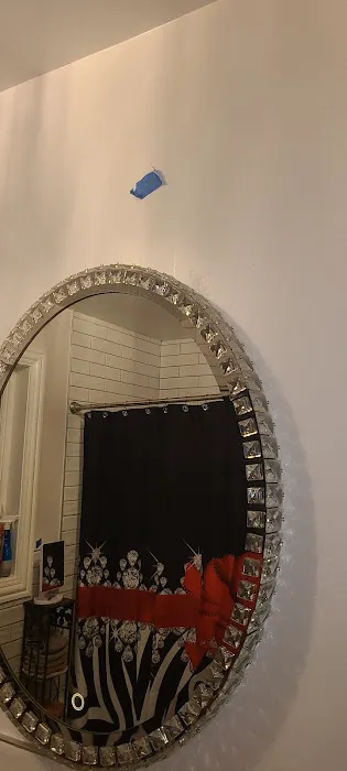 Rescue Cleaning Picture 2