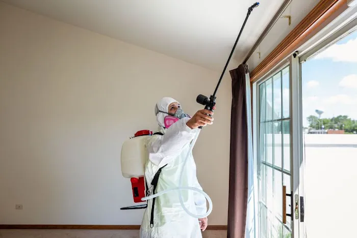 Mold Pro Chicago Picture 1