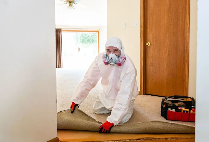 Mold Pro Chicago Picture 6