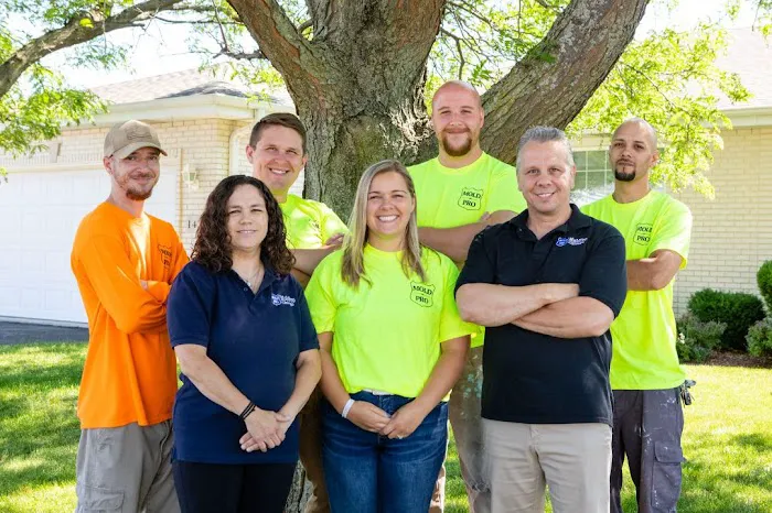 Mold Pro Chicago Picture 3