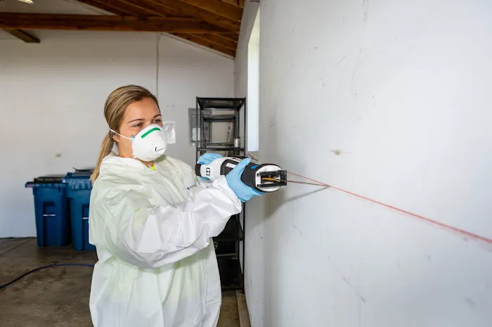 Mold Pro Chicago Picture 7