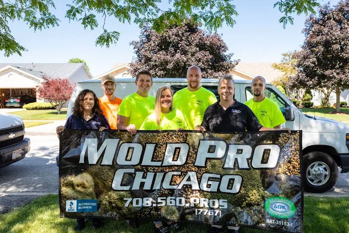 Mold Pro Chicago Picture 10