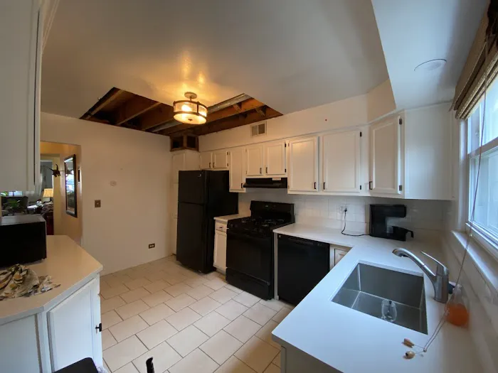 Moldman Chicago Picture 3