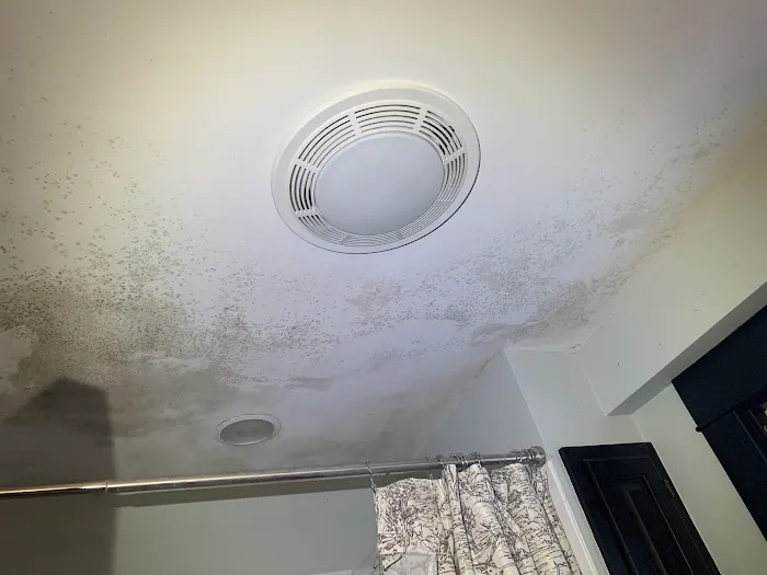 Moldman Chicago Picture 10