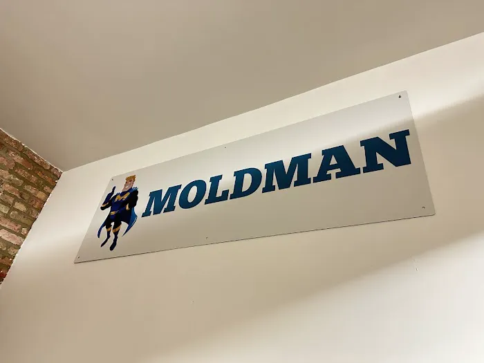 Moldman Chicago Picture 6