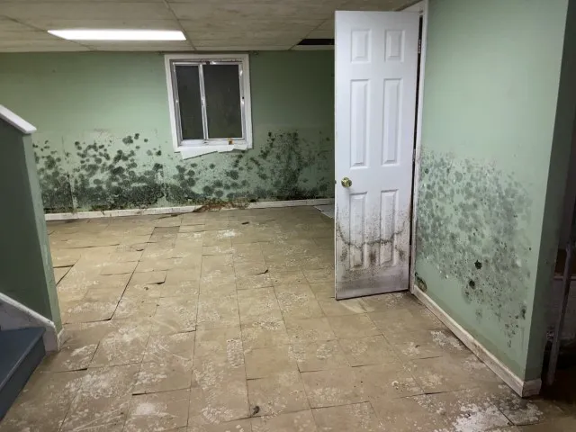 Moldman Chicago Picture 4