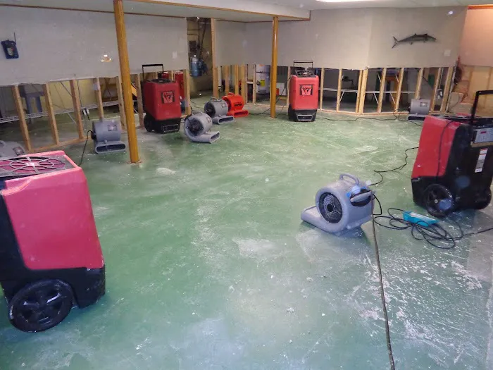 USA Restoration Picture 7